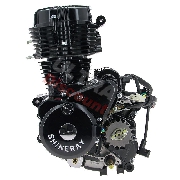 * Motor fr Quad Shineray 250 ccm STXE 167FMM
