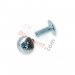 2 Verkleidungsschrauben M6x16 fr Pocket Nitro (chrom)