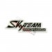 SkyTeam-Aufkleber fr Bubbly (grau-schwarz)