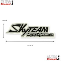 89012-15h60-bis2 skyteam-aufkleber fur skymini (grau-schwarz)
