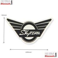 89052-16h40-bis2 skyteam-aufkleber fur skymini (vorne)