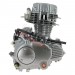 * Motor CGP125 125ccm fr Skyteam ACE (ST156FMI)