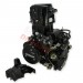 * Motor komplett 167MM EURO4 fr Quad Bashan 250 ccm (BS250AS-43)