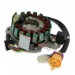 Zndstator komplett fr Quad Bashan 300 ccm (BS300S-18)