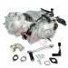 * Motor 125 PBR Skyteam ZB Honda mit elektrischen Anlasser 152FMI (SEMI AUTO)