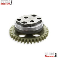 ultra-1254415097-bis lpumpe fur quad shineray 250 ccm st-9e