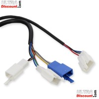 ultra-1701184466-bis2 elektrisches gasgriff-set citycoco shopper