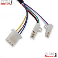 ultra-1716361154-bis elektrisches gasgriff-set citycoco (gold) type2