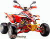  Ersatzteile fr Quad Shineray RACING 250cc STIXE oder 250cc ST-9E 