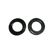 Simmerring fr Pocket-ZPF-Motor
