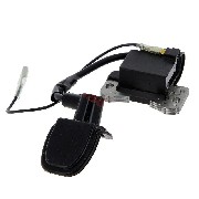 Z�ndung original f�r pocket bike