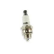 Z�ndkerze BPM6A f�r Pocket Replik R1