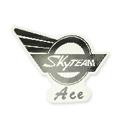 SkyTeam Ace Aufkleber fr Ace-Panzer (rechts)