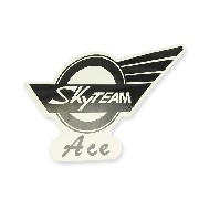 SkyTeam Ace Aufkleber fr Ace-Panzer (links)