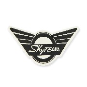 SkyTeam-Aufkleber fr Skymini (vorne)