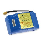 Batterie Li-ion 36v 4.4AH fr Overboard (11GD-10S2P )