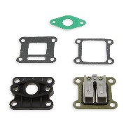 * Vergaser-Set 12 fur pocket Bike Nitro