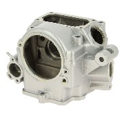 Zylinderkopf Zongshen f�r 250cc Spy Racing (ZS169MM)