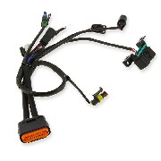 Verbindungskabel 1 f�r Motorsteuereinheit f�r Skyteam Skimini EURO5 - NEUE VERSION