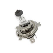 Scheinwerfer Birne f�r Skyteam Trex Euro4