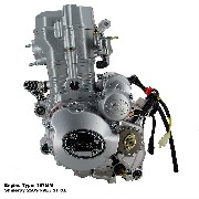 * Kompletter Motor für Quad Shineray 250 ccm Racing (167MM)