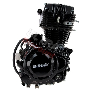 * Motor Quad Shineray 200ccm STIIE - STIIE-B 163FML