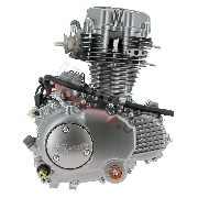 * Motor CGP125 125ccm für Skyteam ACE (ST156FMI)