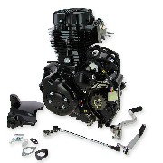 * Motor CGP125 125ccm für Skyteam ACE (ST156FMI) (Schwarz)