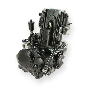 Kompletter Motor für Quad Spy Racing SPY250F1 (ZS169MM )