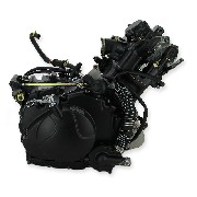 Kompletter Motor für Quad Spy Racing SPY350F1 (ZS183MP)