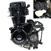 * Motor für Quad Shineray 250 ccm STXE 167FMM (type2)