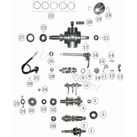 vue-bas-moteur-shineray-200 wellendichtring kurbelwelle fur quad stiie 200 ccm (34x50x7)